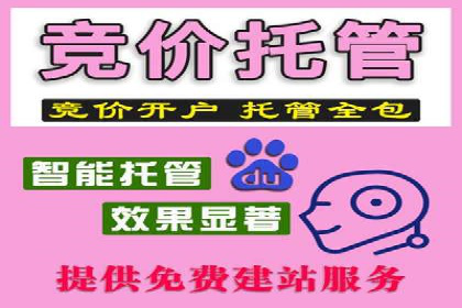 sem推广竞价策略的五大要点及成功案例解读