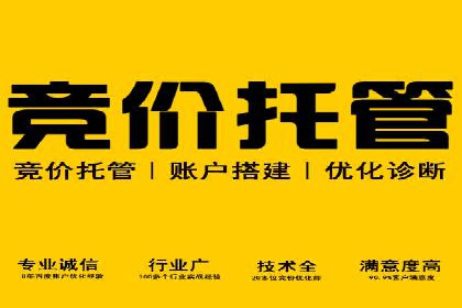 成功案例：竞价托管SEM助力企业快速成长